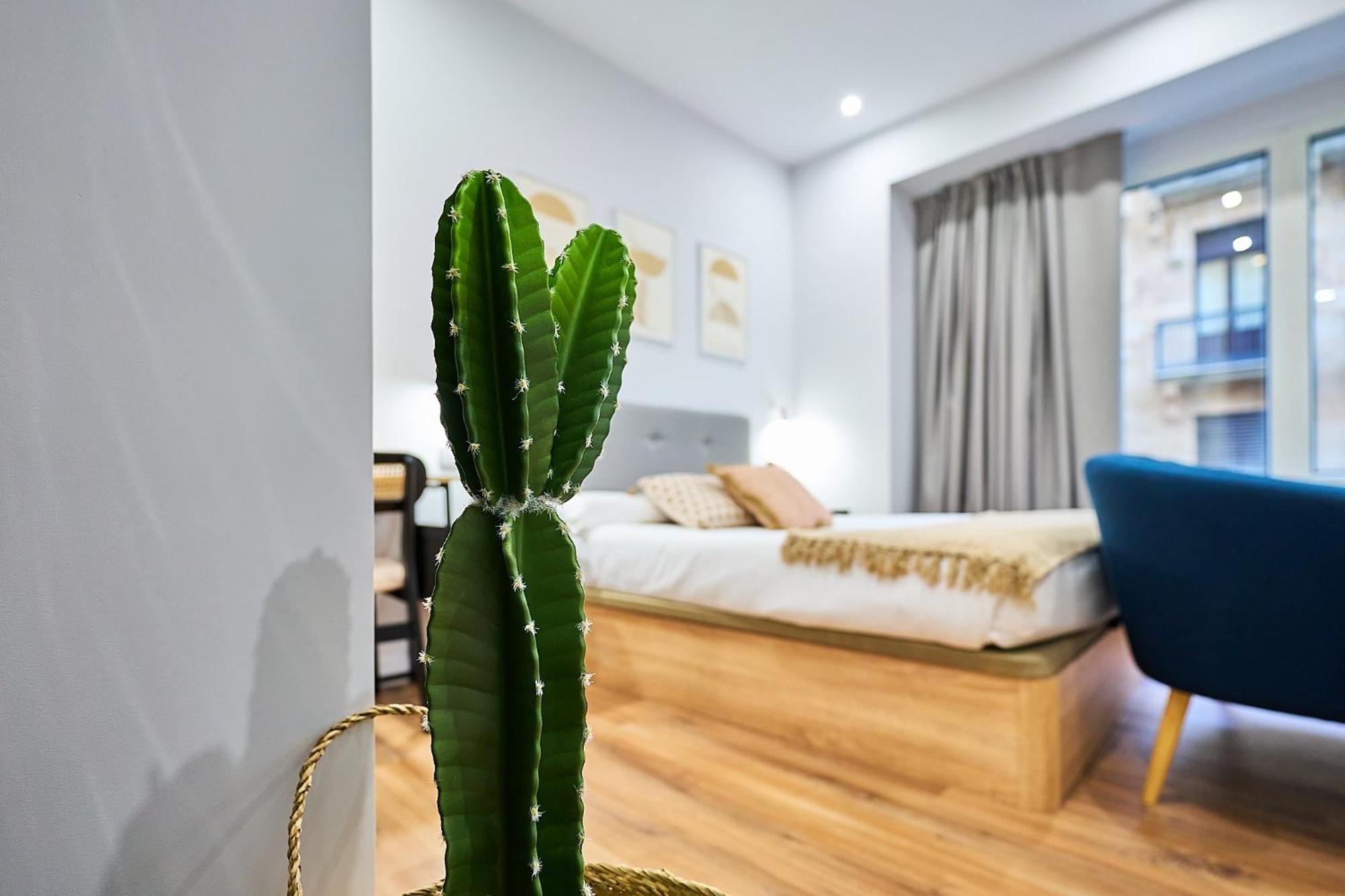 Apartamentos Esperanza By Gaiarooms Salamanca Eksteriør billede